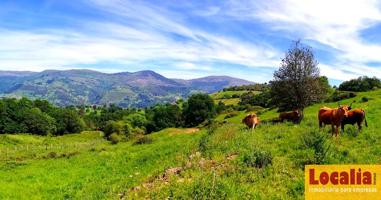 Finca rústica con cabaña y bosque autóctono photo 0