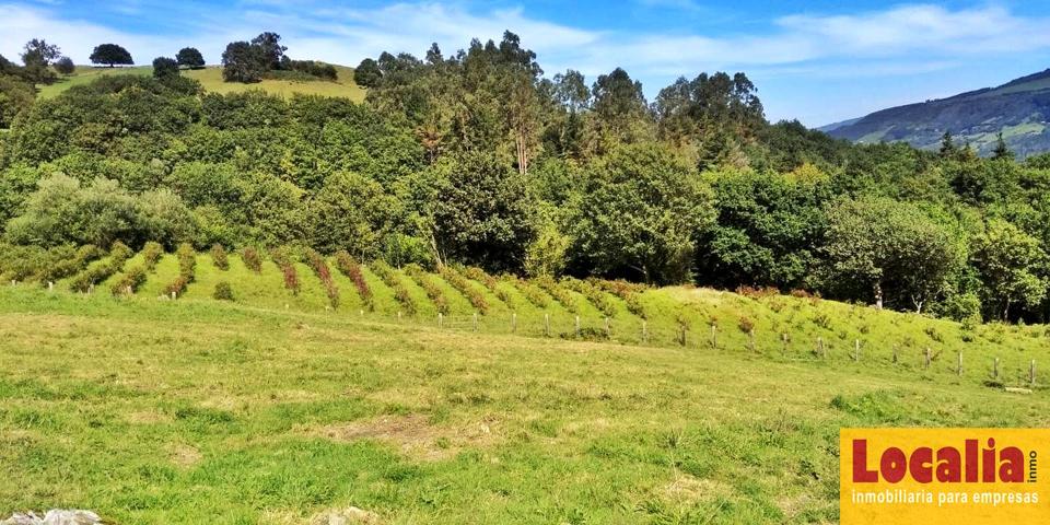 Finca rústica con cabaña y bosque autóctono photo 0