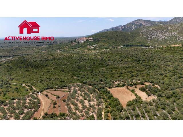 Finca rustica de 6 Jornales en venta en Mas de Barberans photo 0