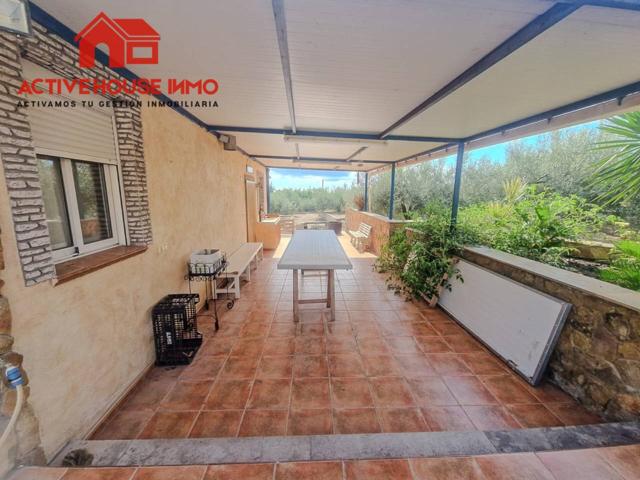 Venta de finca rústica en Alcanar playa photo 0