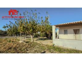 Venta de finca rústica en Poble Nou del Delta-Eucaliptus, Amposta photo 0