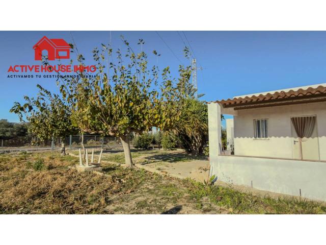 Venta de finca rústica en Poble Nou del Delta-Eucaliptus, Amposta photo 0