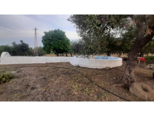 Terreno en venta en La Campana photo 0