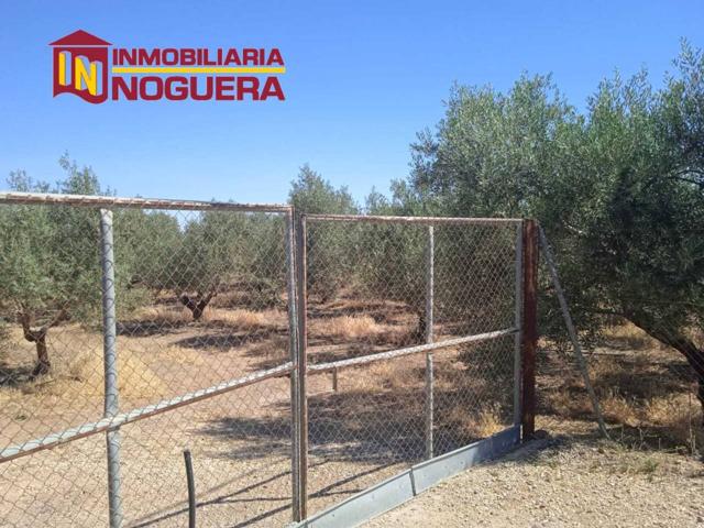 Finca rustica en venta en Los Algarbes photo 0