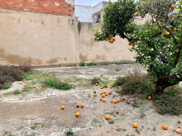 Planta baja, Paterna photo 0