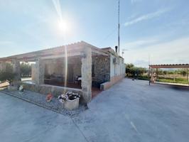 ¡Oportunidad en Aspe! Chalet en una sola planta photo 0