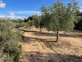 Terreno en venta en Granyena de Les Garrigues photo 0