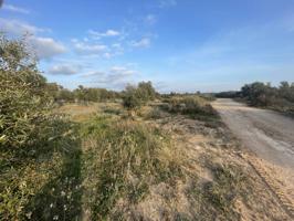Terreno en venta en Granyena de Les Garrigues photo 0