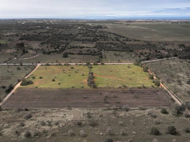 Terreno en venta en Ses Salines photo 0