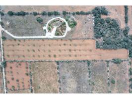 Terreno en venta en Santanyí photo 0