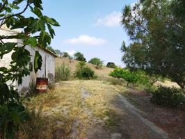 Casa con terreno en Cabezo de Cuti, Puerto Lumbreras-Murcia photo 0