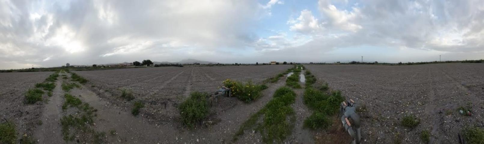 Terreno Rural en Lorca - Zona Torrecilla photo 0