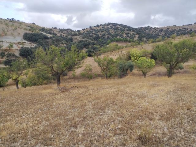 Cortijo para reformar en Vélez Rubio - Zona La Oliverica photo 0