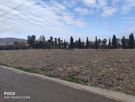 Parcela en Campillo photo 0