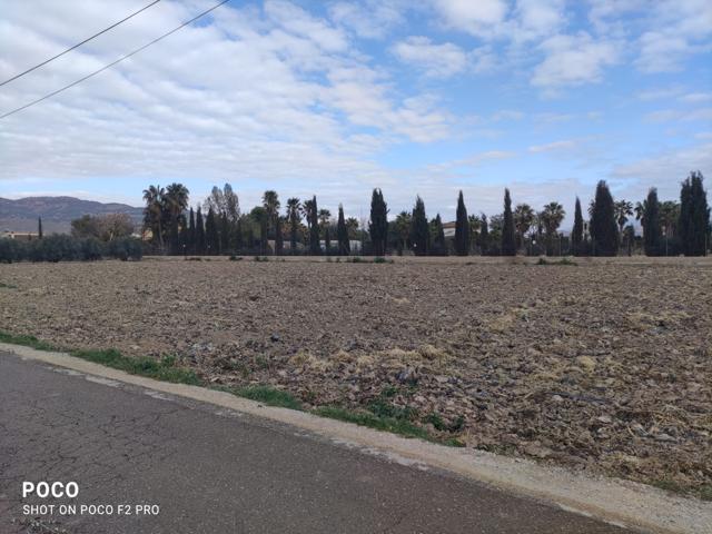 Parcela en Campillo photo 0