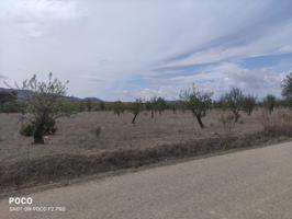 TERRENO AGRICOLA DE REGADÍO EN AGUADERAS, LORCA photo 0