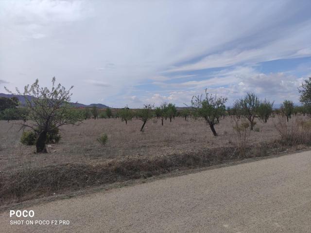 TERRENO AGRICOLA DE REGADÍO EN AGUADERAS, LORCA photo 0