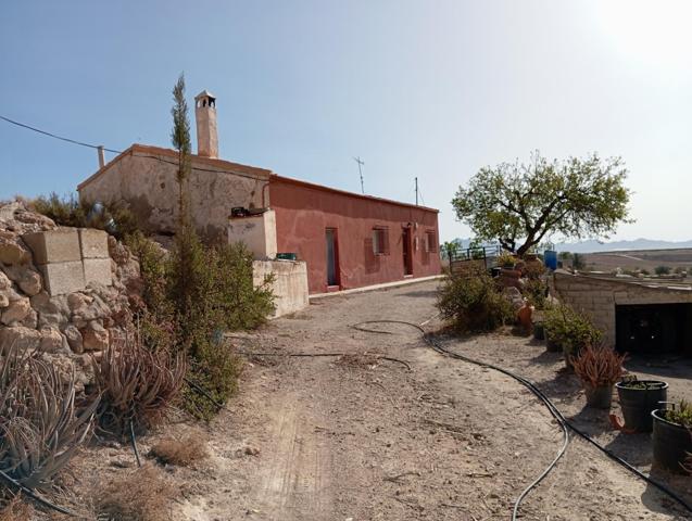 FINCA AGRICOLA DE 14 HAS CON 2 VIVIENDAS Y ALMACENES photo 0