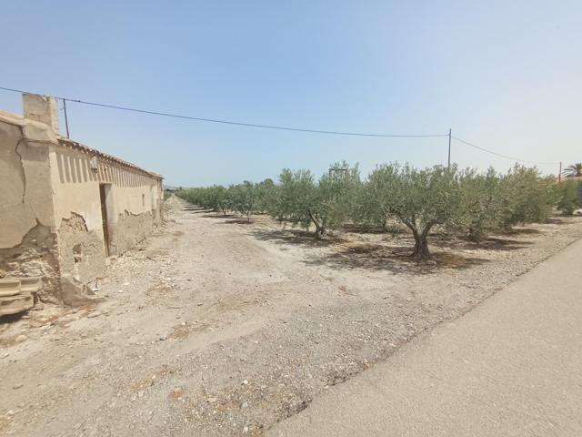 Casa de campo para reformar con 500 olivos en plena producción photo 0