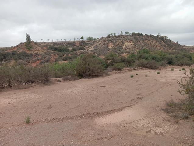 TERRENO RURAL JUNTO AL CENTRO DE PUERTO LUMBRERAS photo 0