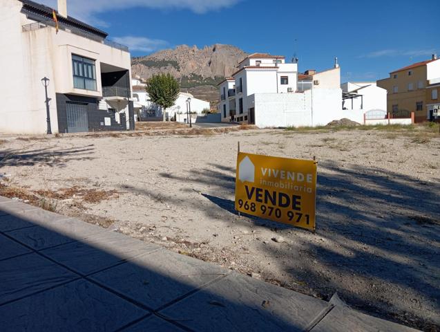 SOLARES URBANIZABLES JUNTO A AVENIDA ANDALUCÍA DE VÉLEZ RUBIO photo 0
