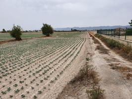 TERRENO RURAL URBANIZABLE EN LORCA photo 0