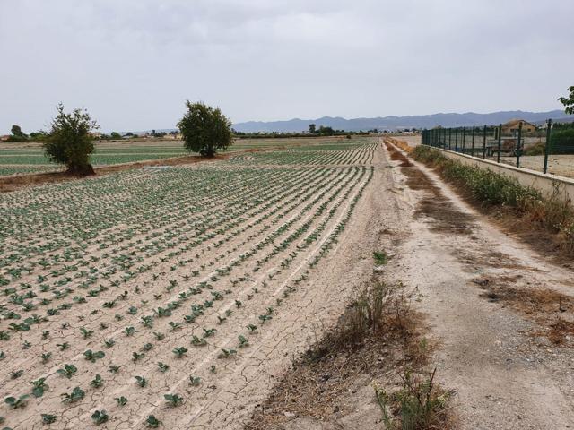 TERRENO RURAL URBANIZABLE EN LORCA photo 0