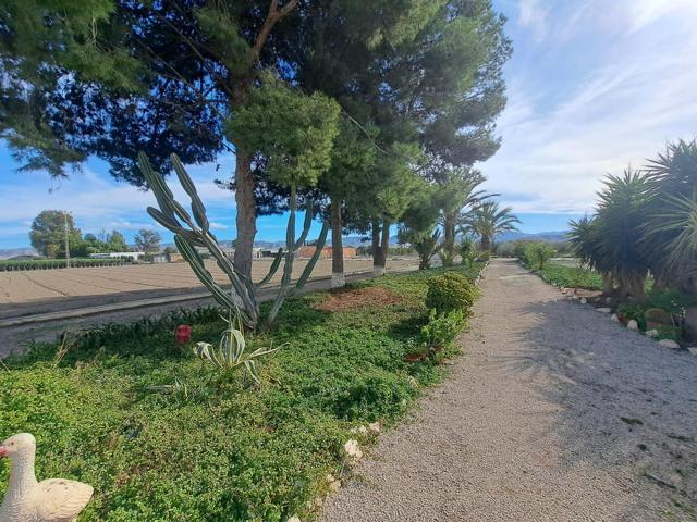 CASA DE CAMPO CON TERRENO Y OLIVOS A 15 MINUTOS DE LORCA photo 0