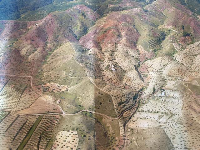 FINCA EN EL CONSEJERO DE APROX 25 HECTAREAS CON CASA PARA ENTRAR A VIVIR photo 0