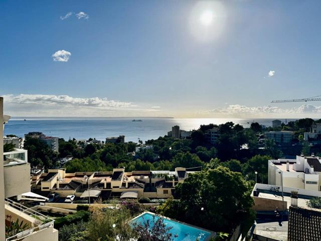 Piso en alquiler en Cas Català-Illetes photo 0