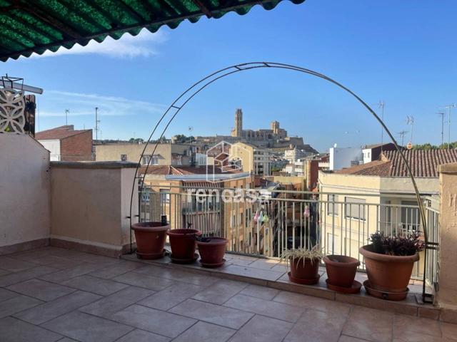 Atico Vistas a 'La Seu' photo 0