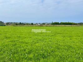 Terreno en venta en QUINTANA - CADAVEDO photo 0