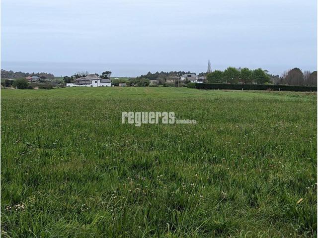 Terreno en venta en QUINTANA - CADAVEDO photo 0