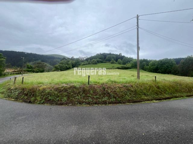 Finca en Venta – Carceda, Pravia (Asturias) photo 0
