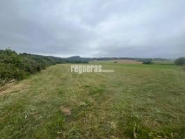¡Maravilloso terreno en venta en Gozón! photo 0