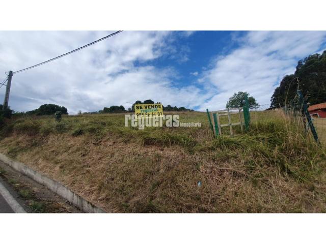Finca edificable en Huerces (Gijón) – 1.592 m² con proyecto visado photo 0