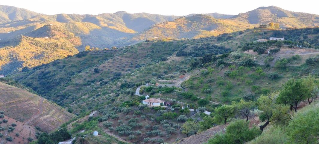 CASA RURAL  EN COLMENAR photo 0