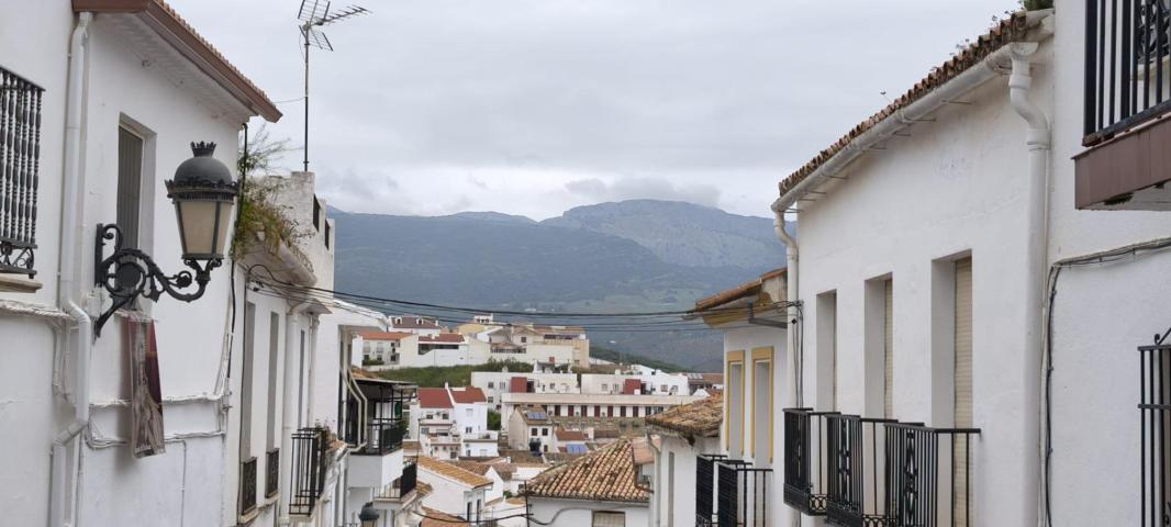 CASA DE PUEBLO EN COLMENAR photo 0