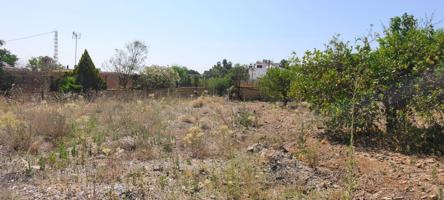 PARCELA PLANA RUSTICA CARTAMA photo 0
