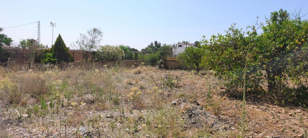 PARCELA PLANA RUSTICA CARTAMA photo 0