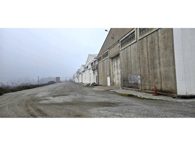 NAVE INDUSTRIAL PRIMERA LINEA photo 0