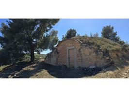 TERRENO CON OLIVOS Y CABAÑA photo 0