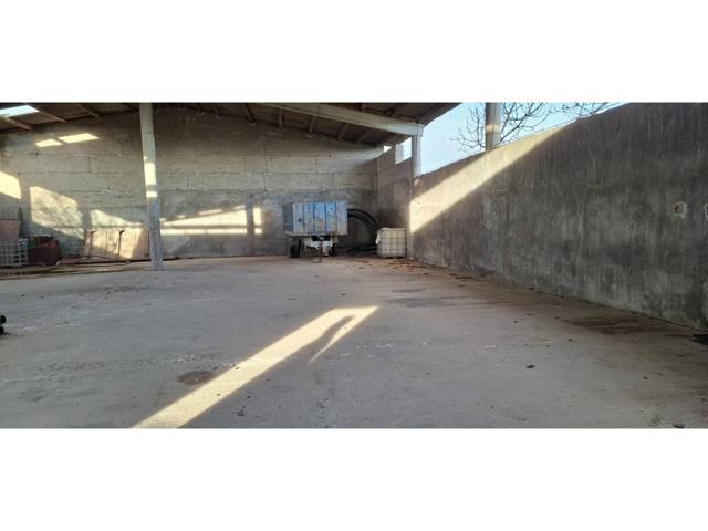 NAVE INDUSTRIAL BELLPUIG photo 0