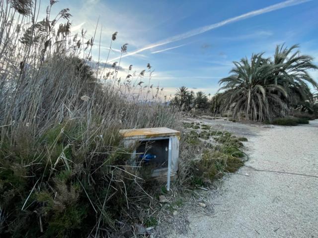 SE VENDE TERRENO CON AGUA DE RIEGO. MATOLA photo 0