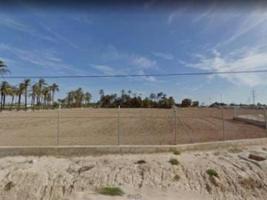 TERRENO DE 32.000 METROS RÚSTICO URBANIZABLE EN LA ALCUDIA photo 0