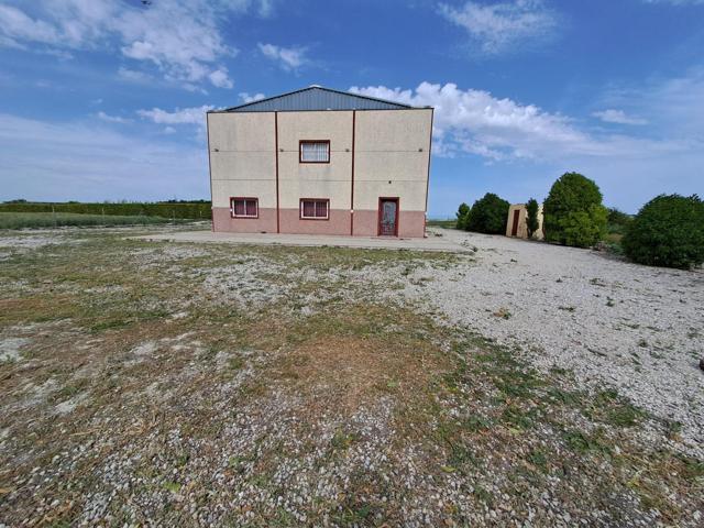 SE VENDE FINCA RUSTICA EN CAMPIÑA DE JEREZ photo 0