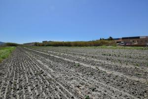 VENTA DE FINCA EN MOTRIL photo 0