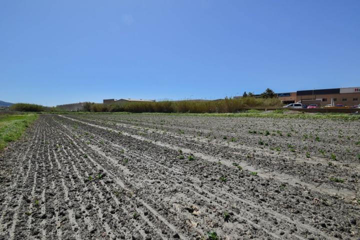 VENTA DE FINCA EN MOTRIL photo 0