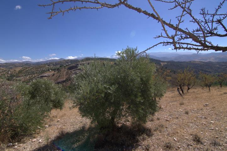 Finca en Huétor Santillán en Los Mermejales photo 0