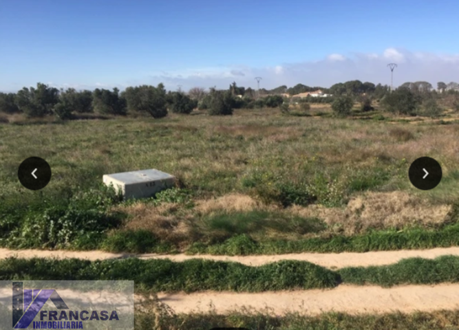 Terreno Urbanizable En venta en Entre Pinoso Y Hellin, El Pinós photo 0